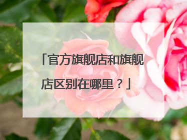 官方旗舰店和旗舰店区别在哪里?