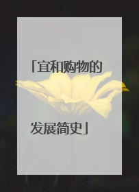 宜和购物的发展简史