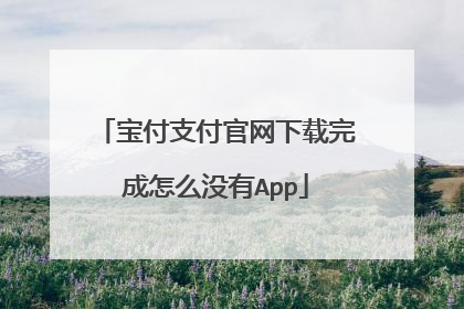 宝付支付官网下载完成怎么没有App