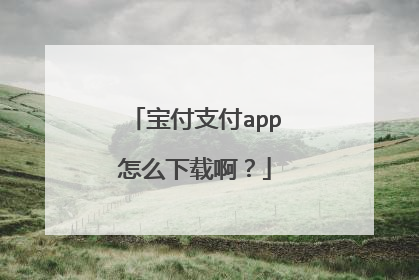 宝付支付app怎么下载啊?