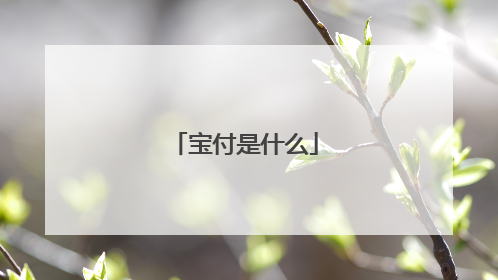 宝付是什么