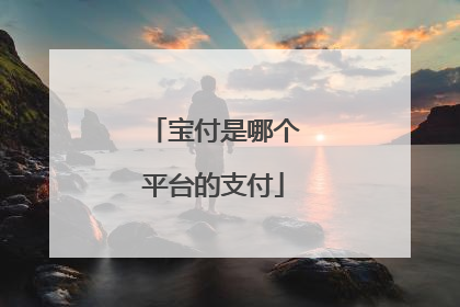 宝付是哪个平台的支付