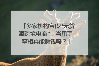 多家机构宣传“无货源跨境电商”,当甩手掌柜真能赚钱吗?