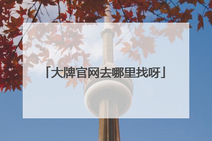 大牌官网去哪里找呀