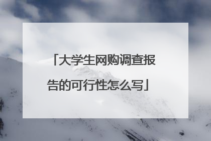 大学生网购调查报告的可行性怎么写