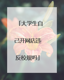 大学生自己开网店违反校规吗