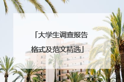 大学生调查报告格式及范文精选