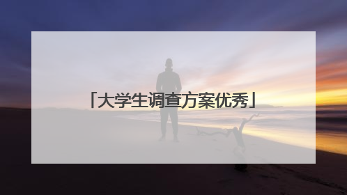 大学生调查方案优秀