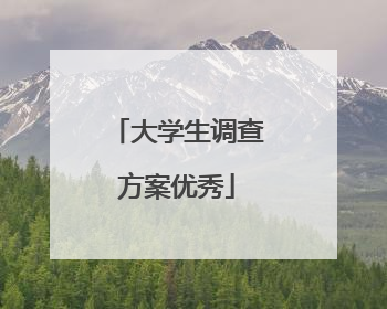 大学生调查方案优秀