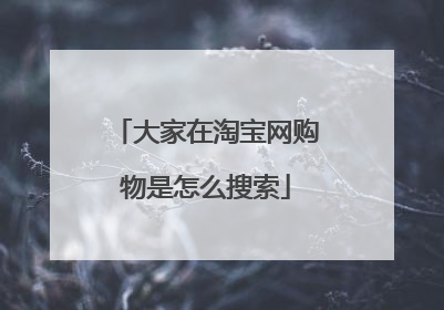 大家在淘宝网购物是怎么搜索
