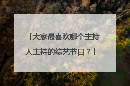 大家最喜欢哪个主持人主持的综艺节目?