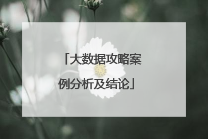 大数据攻略案例分析及结论