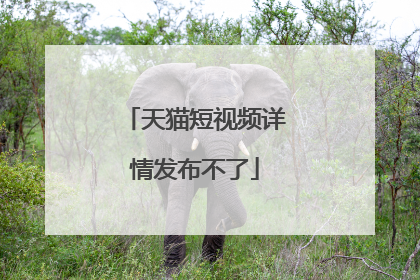 天猫短视频详情发布不了