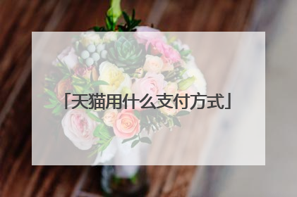 天猫用什么支付方式