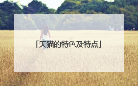 天猫的特色及特点