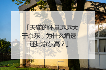 天猫的体量远远大于京东,为什么增速还比京东高?