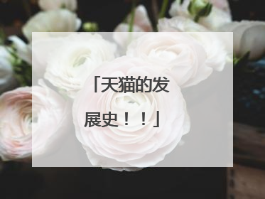 天猫的发展史!!