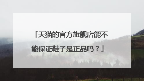 天猫的官方旗舰店能不能保证鞋子是正品吗？