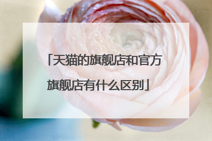 天猫的旗舰店和官方旗舰店有什么区别
