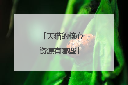天猫的核心资源有哪些