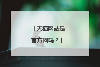 天猫网站是官方网吗?