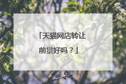 天猫网店转让前景好吗?