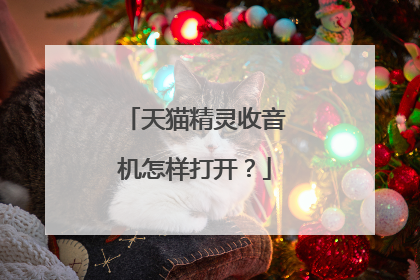 天猫精灵收音机怎样打开?