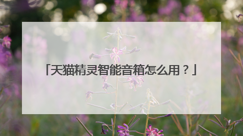 天猫精灵智能音箱怎么用?