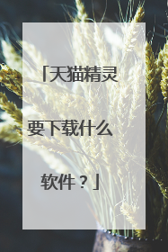天猫精灵要下载什么软件？