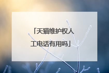 天猫维护权人工电话有用吗