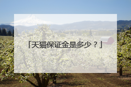 天猫保证金是多少？