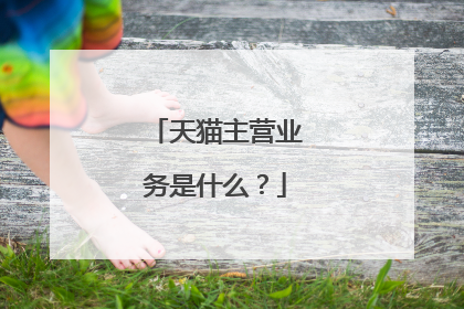 天猫主营业务是什么？