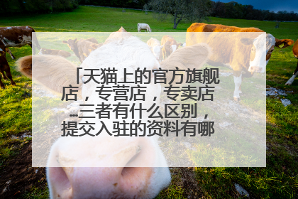 天猫上的官方旗舰店，专营店，专卖店…三者有什么区别，提交入驻的资料有哪些不一样？