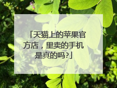 天猫上的苹果官方店,里卖的手机是真的吗?