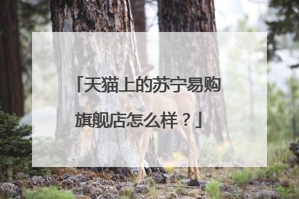 天猫上的苏宁易购旗舰店怎么样?