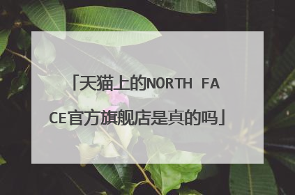 天猫上的NORTH FACE官方旗舰店是真的吗