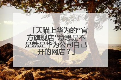 天猫上华为的“官方旗舰店”意思是不是就是华为公司自己开的网店?