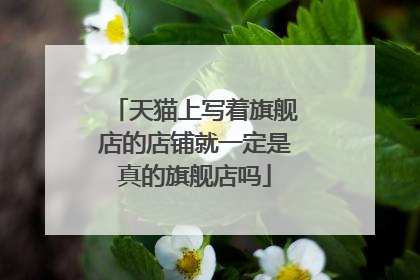 天猫上写着旗舰店的店铺就一定是真的旗舰店吗