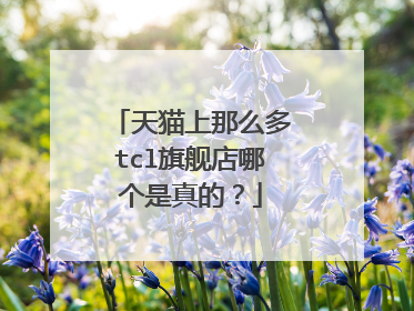 天猫上那么多tcl旗舰店哪个是真的?