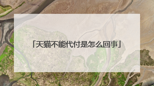 天猫不能代付是怎么回事