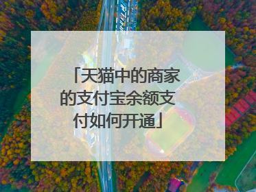 天猫中的商家的支付宝余额支付如何开通