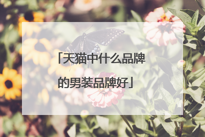 天猫中什么品牌的男装品牌好