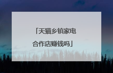 天猫乡镇家电合作店赚钱吗