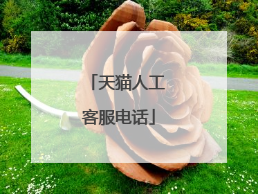 天猫人工客服电话