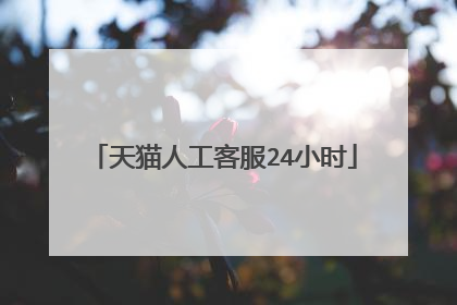 天猫人工客服24小时