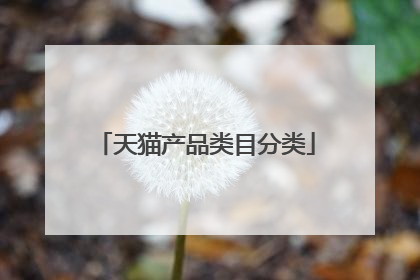 天猫产品类目分类
