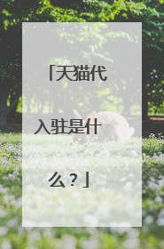 天猫代入驻是什么?
