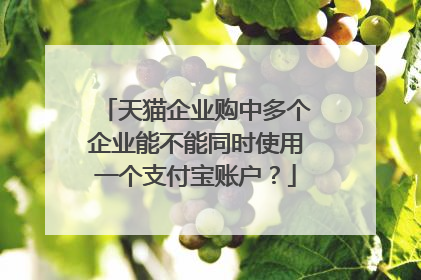 天猫企业购中多个企业能不能同时使用一个支付宝账户?