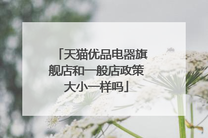 天猫优品电器旗舰店和一般店政策大小一样吗