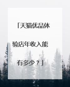 天猫优品体验店年收入能有多少?